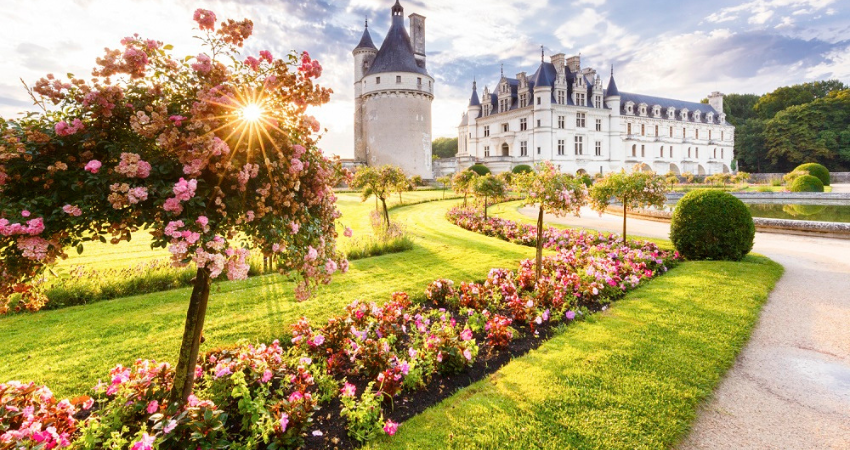 Touraine - Au cœur des Châteaux de la Loire - Séjour spécial fête de roses