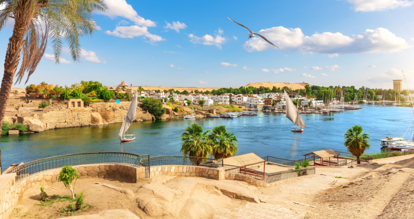 Croisière sur la Vallée du Nil et détente à Hurghada