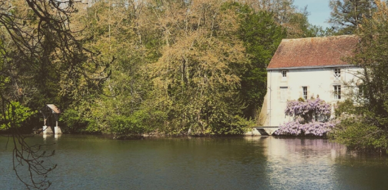 Orléans - Rando : Entre lac & Loiret 🚶‍♂️ célibataire